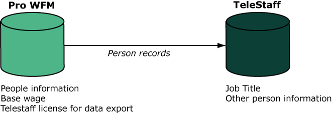 Telestaff Person Export overview