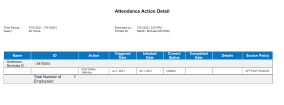Attendance Action Details Report Example