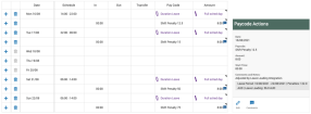 Example Timecard after leave loading integration run